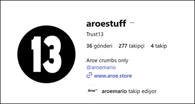 Instagram profile screenshot of @aroestuff, bio “Trust13”, with a circular black “13” logo